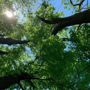 Meet your Posher, Charlotte